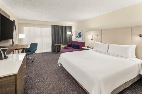 Crowne Plaza Orlando - Lake Buena Vista image 5